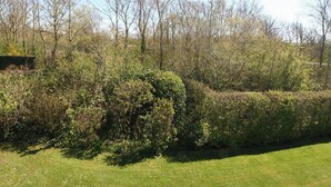 Un jardin avec une haie, un petit bâtiment et des arbres.