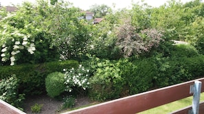Ein Garten mit verschiedenen Sträuchern und Bäumen, einem Metallzaun und einem gepflasterten Weg.