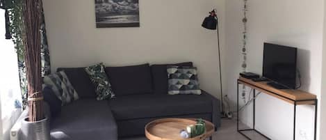 TV, table tennis