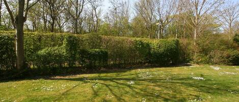 المنطقة المحيطة بالمنشأة