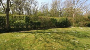 A grassy area with a hedge and trees.