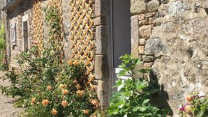 A stone building with a lattice wall and flowering plants. - Cozy house with garden, pets allowed, WiFi in La Hague (La Hague)
