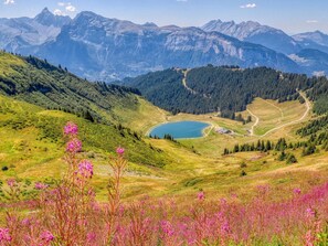 A mountainous landscape with a lake, forested areas, and a clear sky.