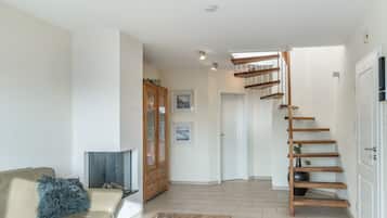 Televisión, chimenea y reproductor de DVD