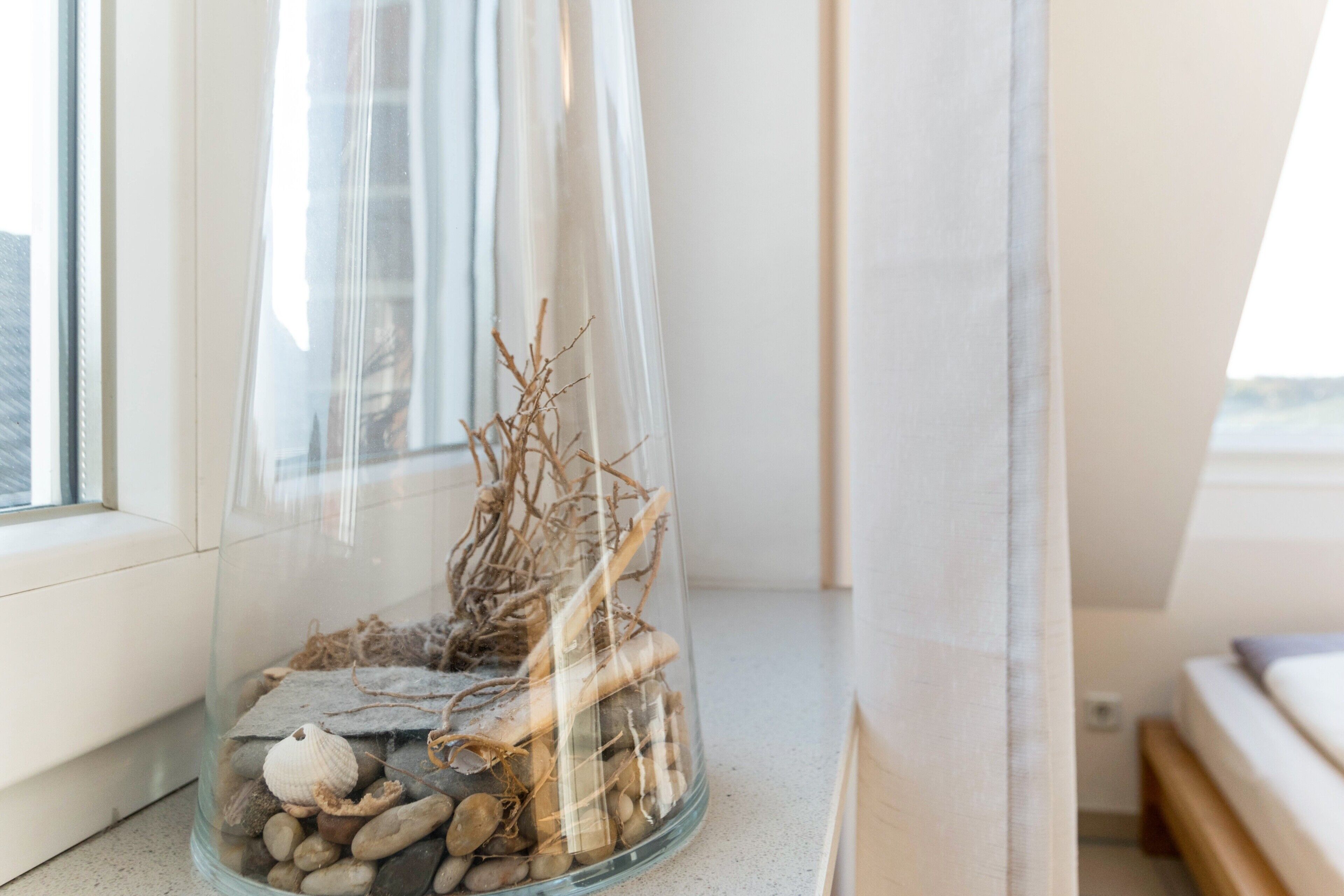 Un terrarium en verre transparent contenant des pierres, un coquillage et des branches, placé sur un rebord de fenêtre.