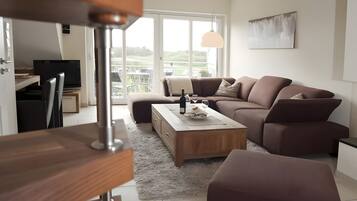 TV, fireplace, DVD player