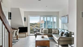 Televisión, chimenea y reproductor de DVD