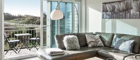 Televisio, takka, DVD-soitin