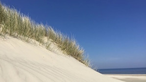 En sandstrand med sanddyner och gräs.