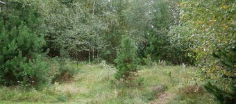 5 Star Holiday Home in Saeby