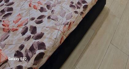 Delightful studio with AC in charming Jijel