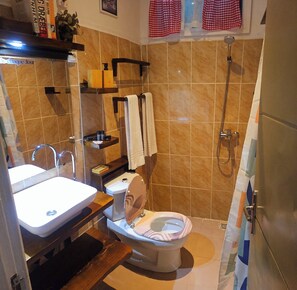 Hair dryer, towels, soap, toilet paper