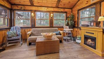 Smart TV, fireplace, video games, books