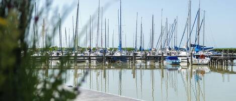 Una marina con varios veleros amarrados a muelles de madera.
