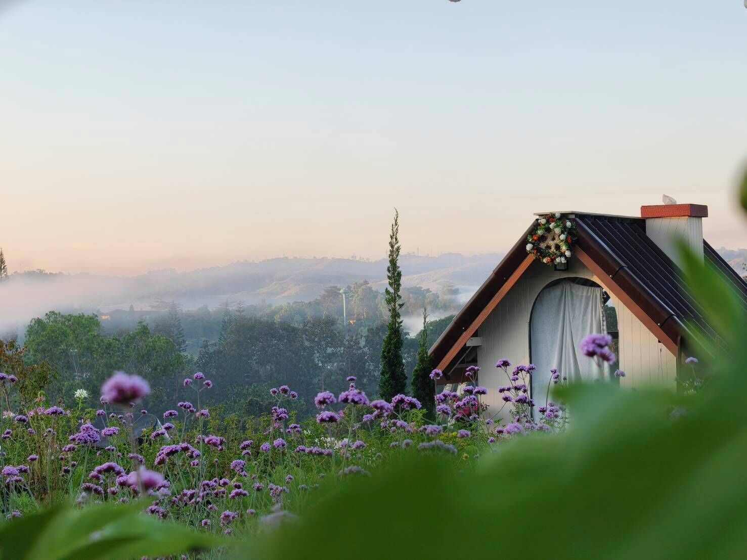 A modern house with a sloped roof, surrounded by a lush garden with purple flowers.