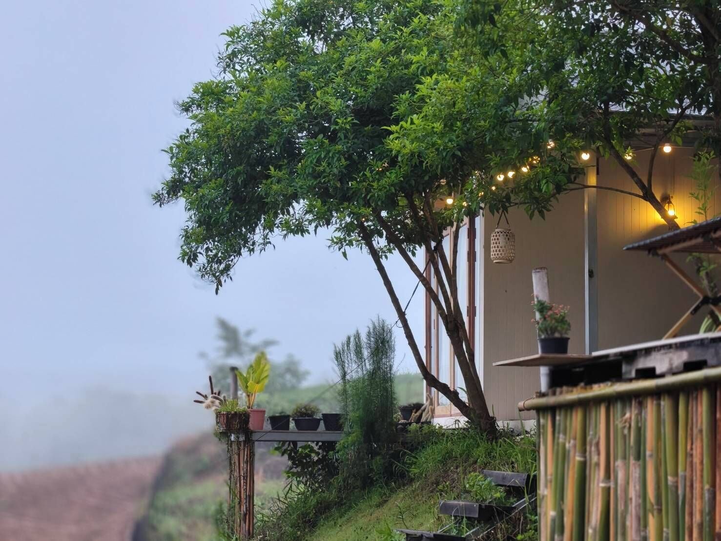 Una casa con un árbol en el frente, una valla de bambú y una planta en maceta en un estante.