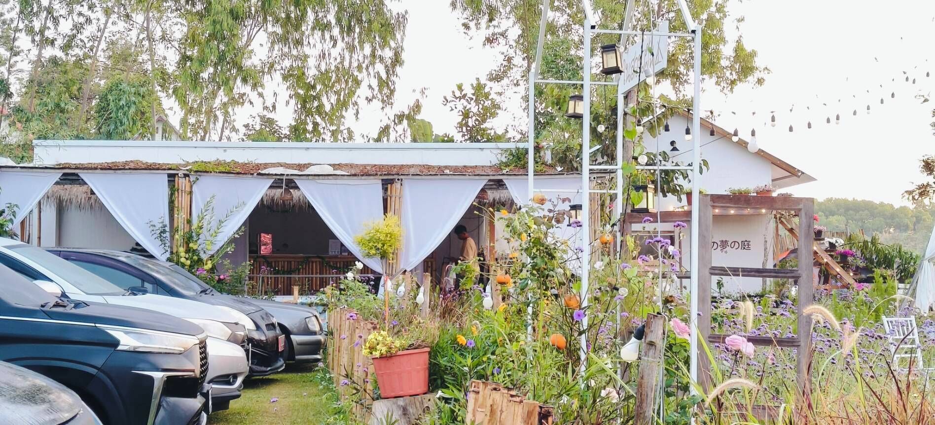 Um jardim com diversas plantas e flores, um edifício branco com telhado de palha e carros estacionados.