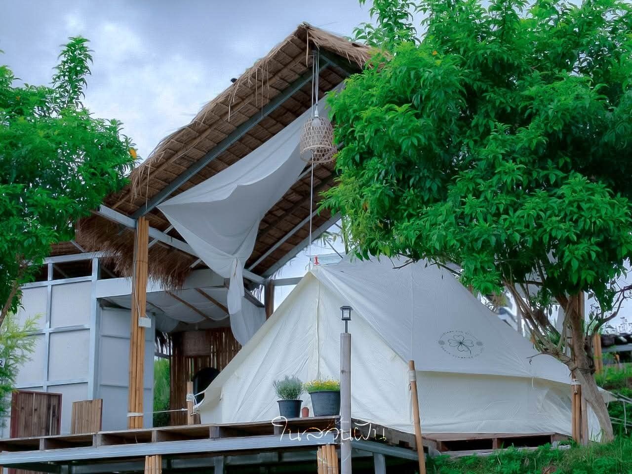 Une structure en forme de tente, dotée d’un toit de chaume, de poutres en bois et d’une toile blanche.