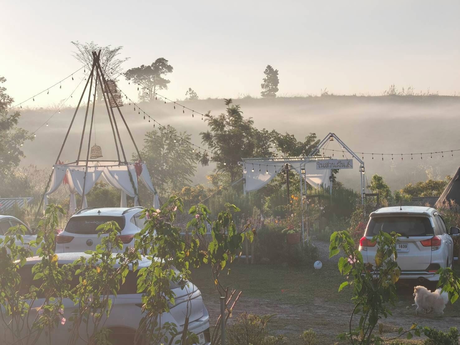 Un jardín con tiendas de campaña y luces colgantes, rodeado de coches aparcados y un fondo brumoso.