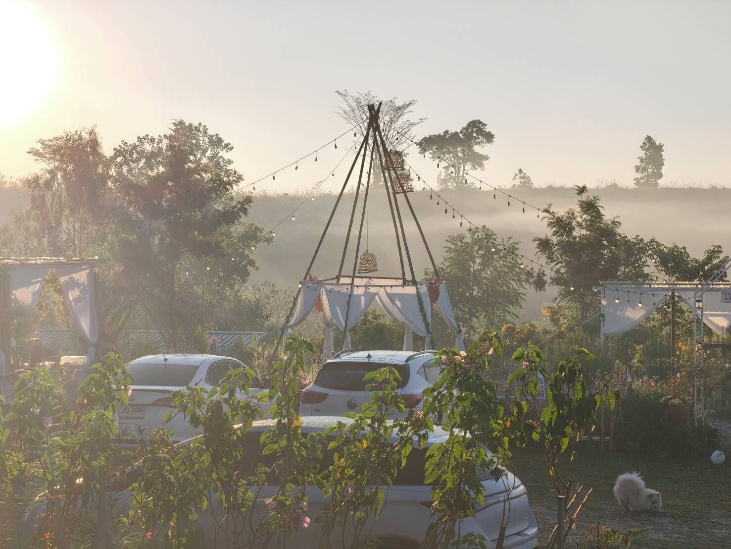 Een camping met tenten en auto's, omringd door groen en een mistige achtergrond.
