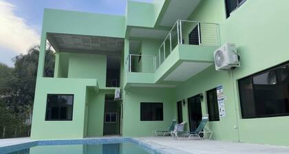 MeMe’s Place – Parrot