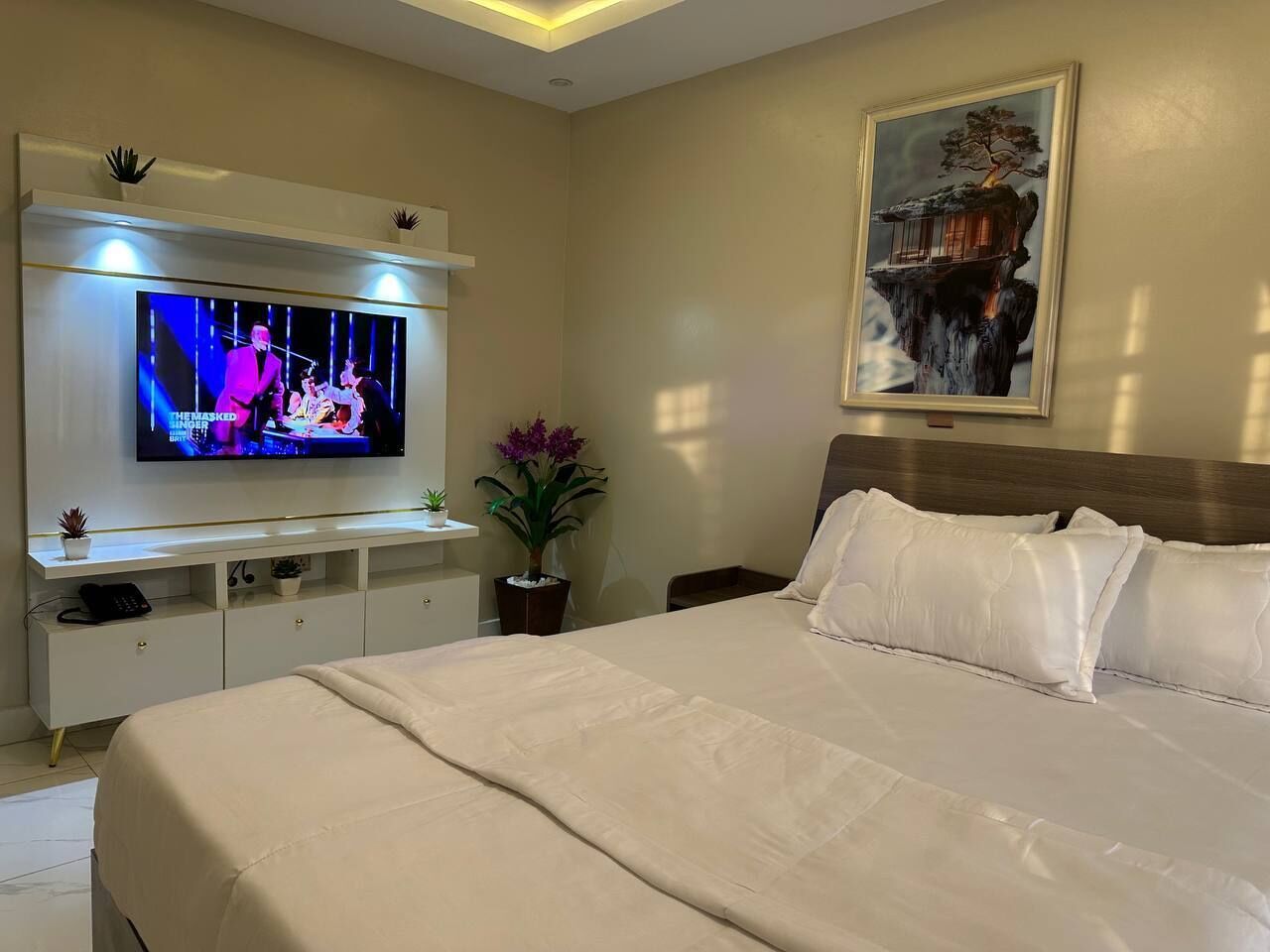 Habitación de hotel con una cama grande, un televisor de pantalla plana montado en la pared, una mesita de noche con una planta y un cuadro sobre la cama.