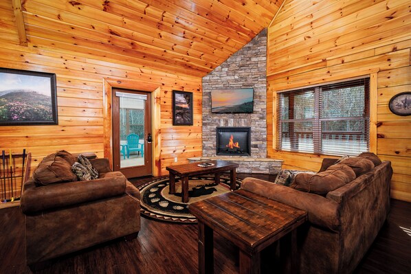 TV, fireplace, video games