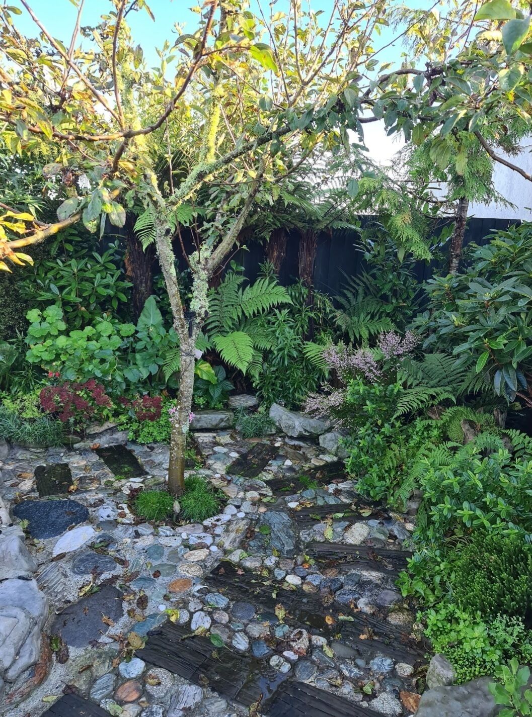 Un jardín con diversas plantas y un sendero de piedra.