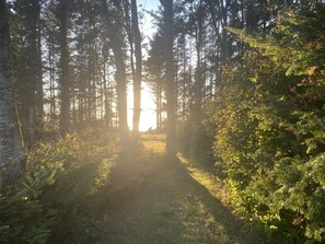 House | Property grounds - 5 Star Holiday Home in Spottrup (Spøttrup)