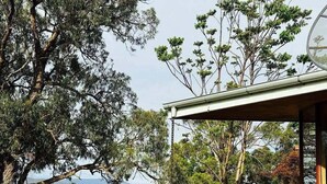A modern house with a large tree in the foreground, a clear view of the surrounding landscape, and a distant mountain range. - Wandin Farm Views - architecturally designed home (Wandin North)