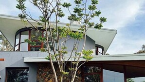 A modern house with a stone facade, large windows, and a tree in front. - Wandin Farm Views - architecturally designed home (Wandin North)