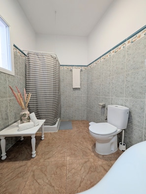 Shower, hair dryer, towels