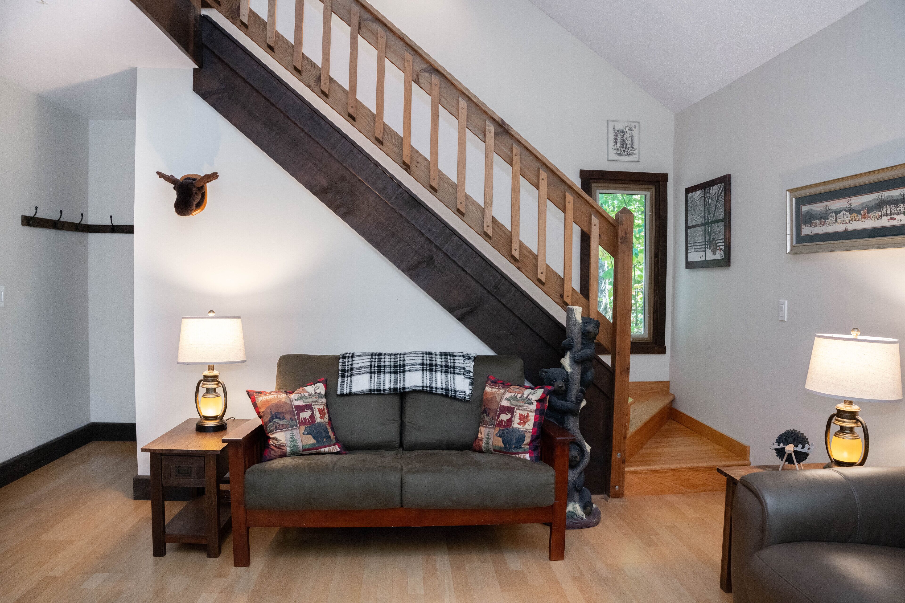 Smart TV, fireplace, DVD player, books