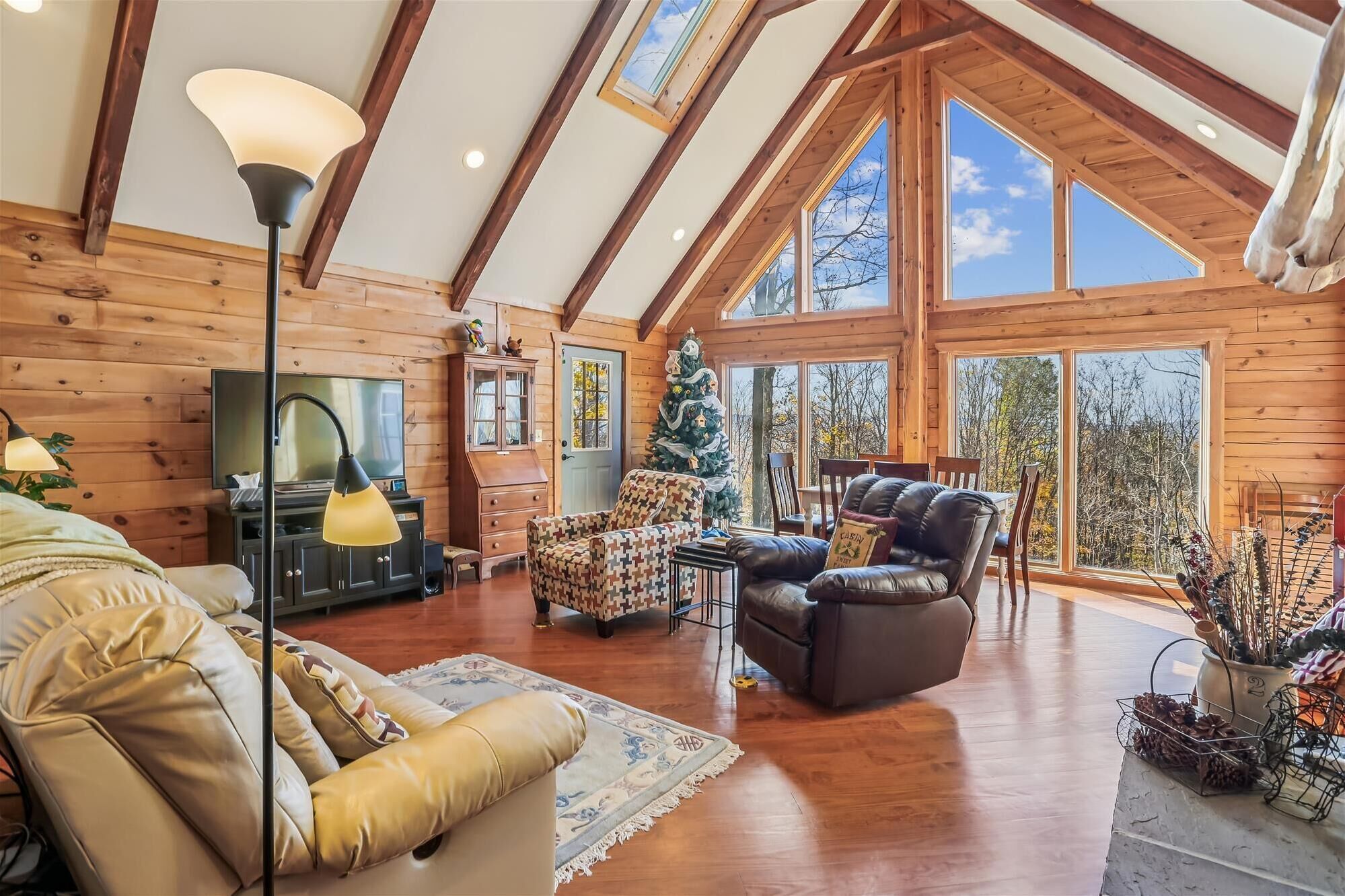 Chimenea, reproductor de DVD y tenis de mesa 