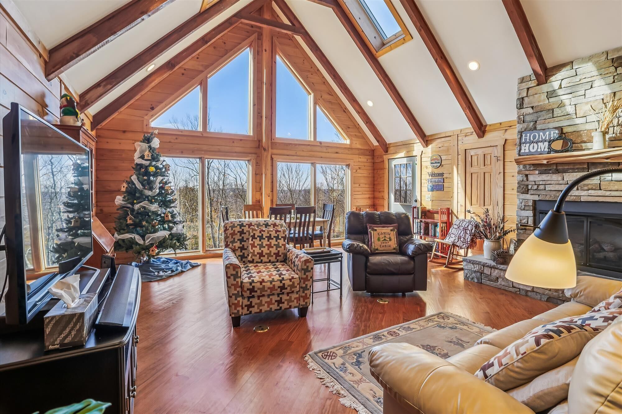 Fireplace, DVD player, table tennis