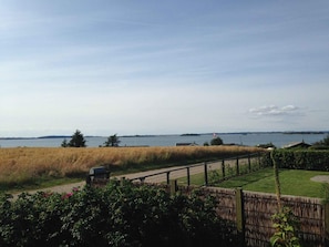 House | Property grounds