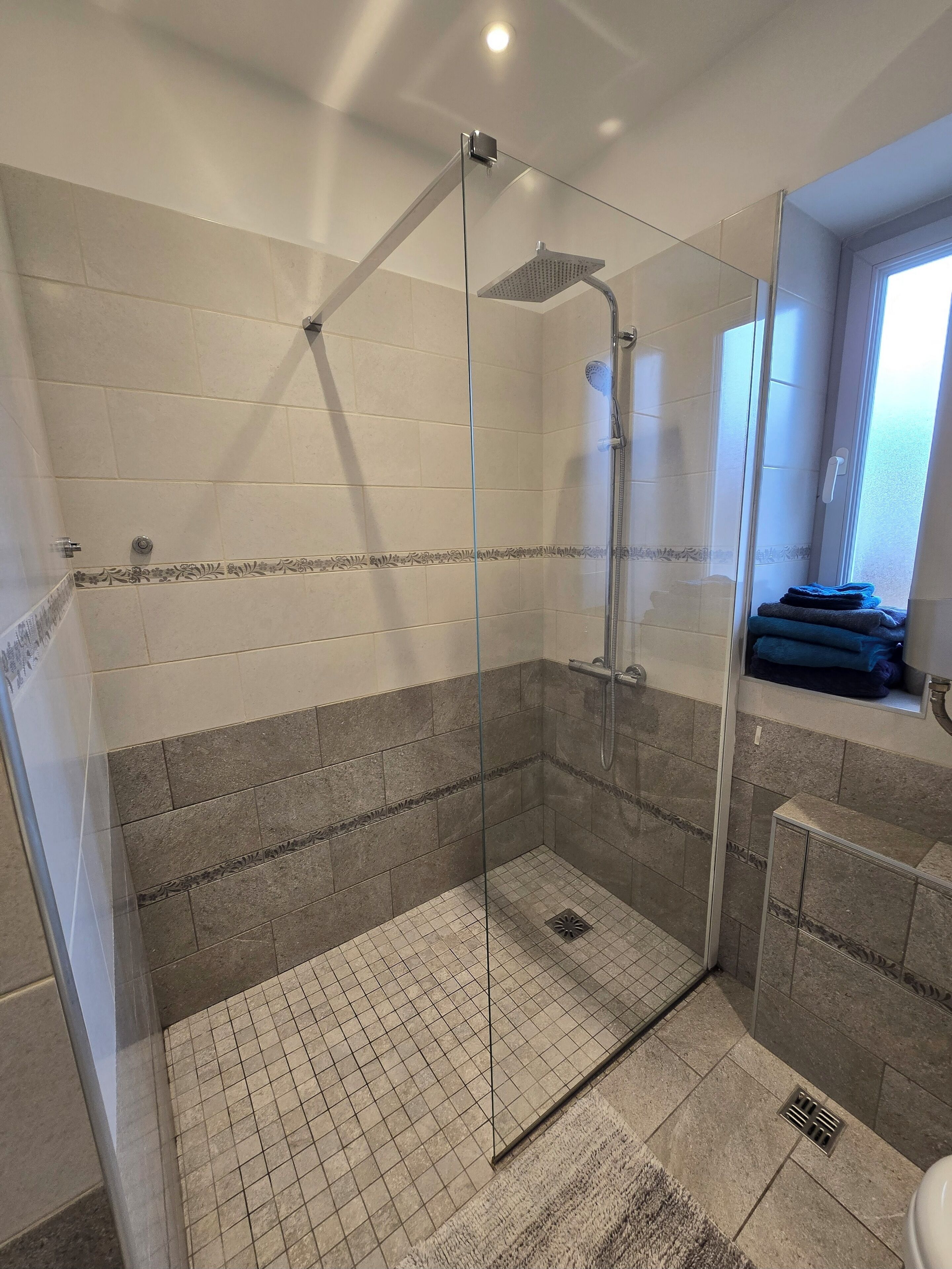 Shower, hair dryer, towels, toilet paper