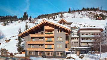 Sne- og skisport