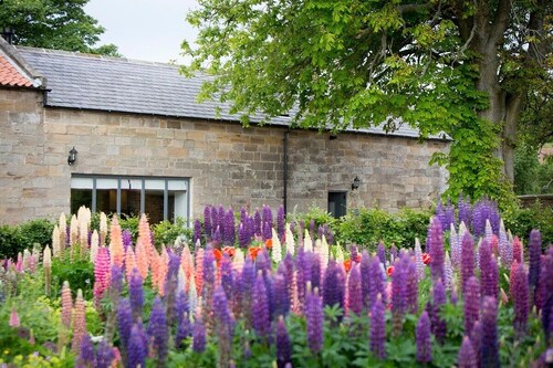 Chestnut Barn | Moors & Coast