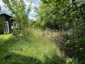 ハウス | 施設の敷地