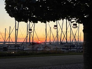 A marina with multiple sailboats docked, a sunset in the background, and a tree in the foreground. - 4 Star Holiday Home in Ebeltoft (Ebeltoft)