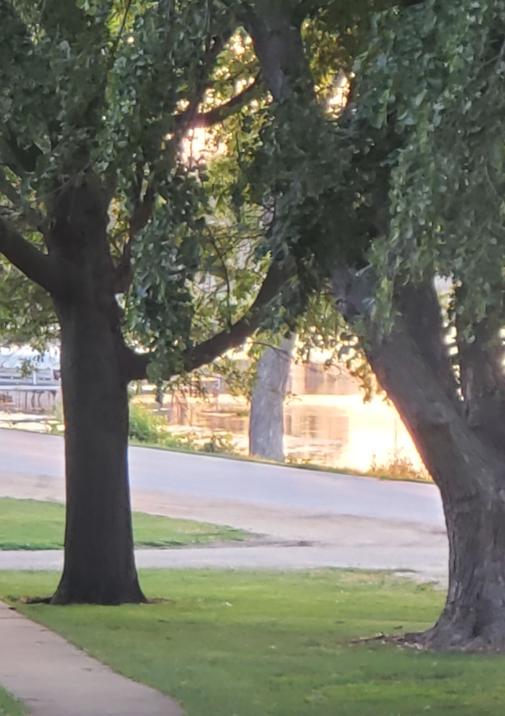 Ruas arborizadas com calçada e um edifício ao fundo.