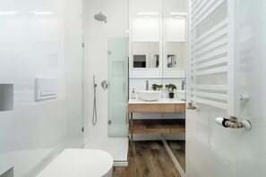 Shower, hair dryer, towels, shampoo