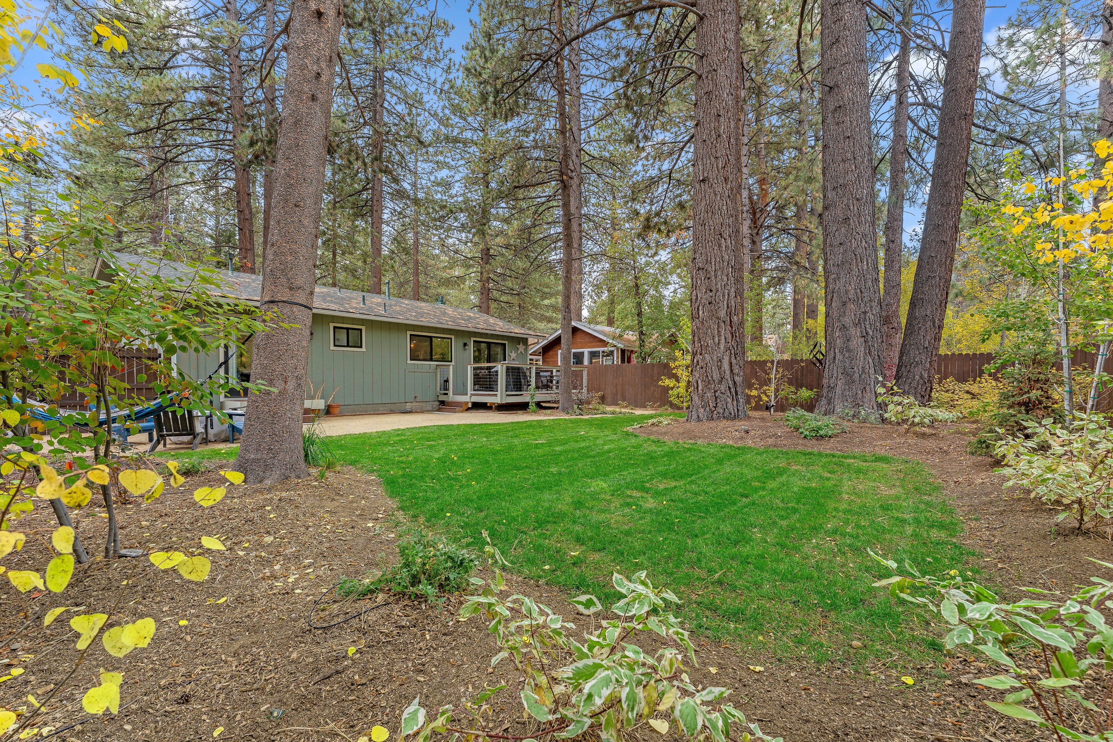 A cabin with a green exterior, surrounded by tall trees and a well-maintained lawn.