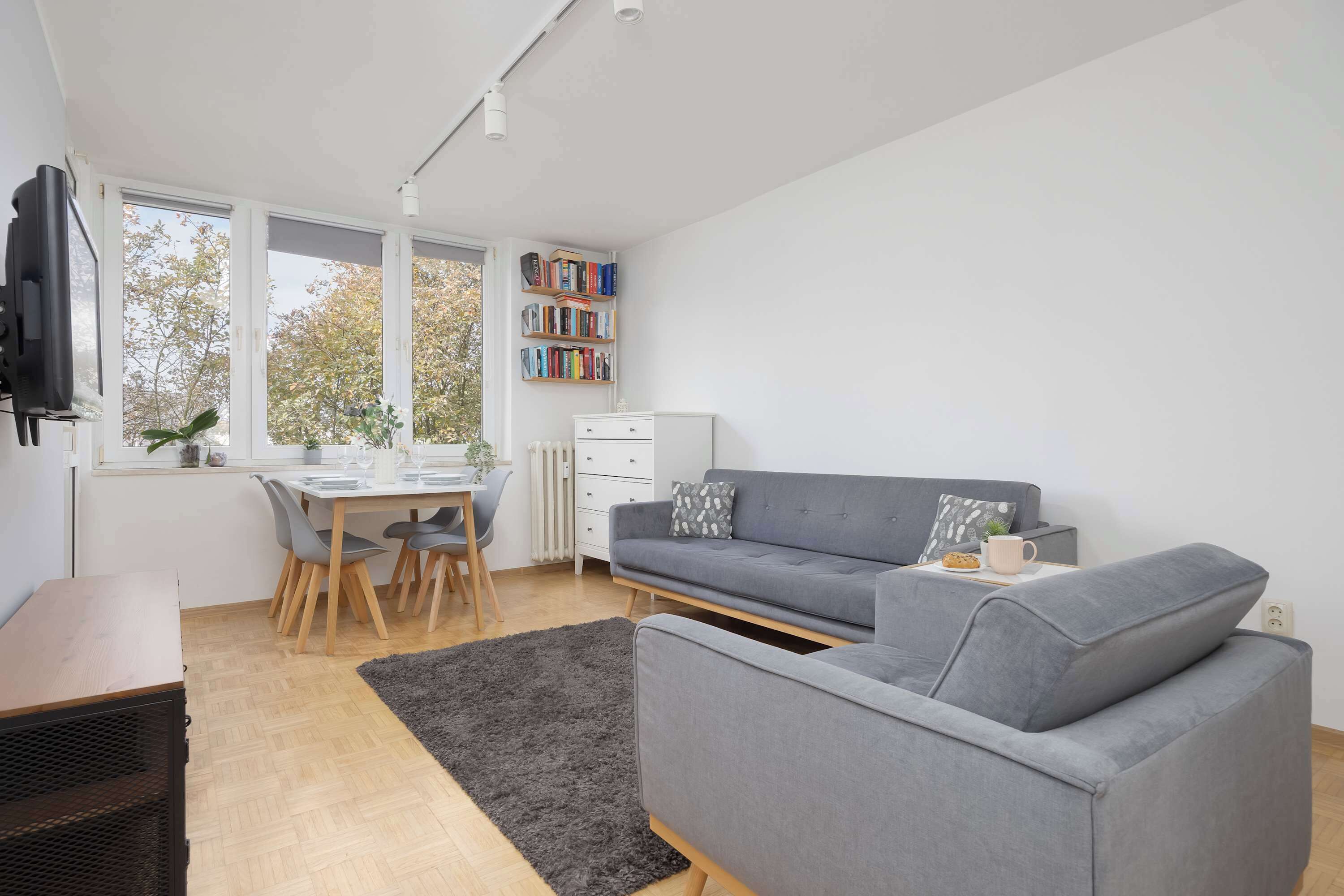 Fernseher, Arbeitsbereiche