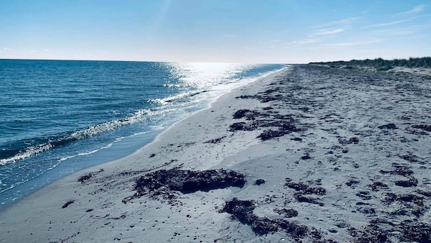 Kirkkaan taivaan alla oleva ranta, jossa auringonvalo heijastuu vedestä.