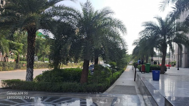 A pathway lined with palm trees and a fountain, leading to a building with classical architecture. - Luxury Rooms In Lucknow (Lucknow)