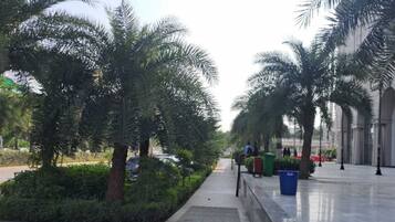 A pathway lined with palm trees and a fountain, leading to a building with classical architecture.