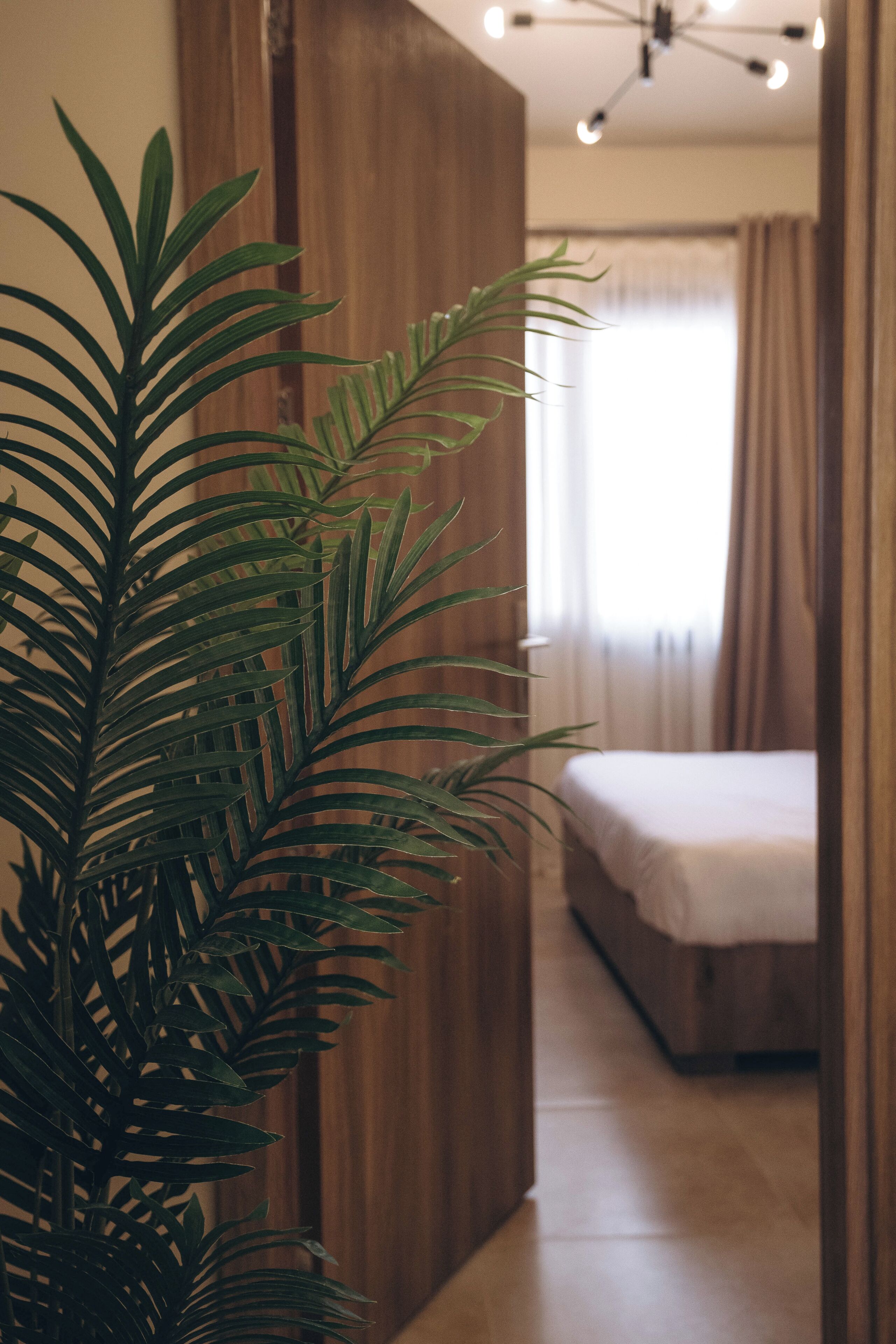 Una habitación con una cama, un armario de madera y una planta en maceta.