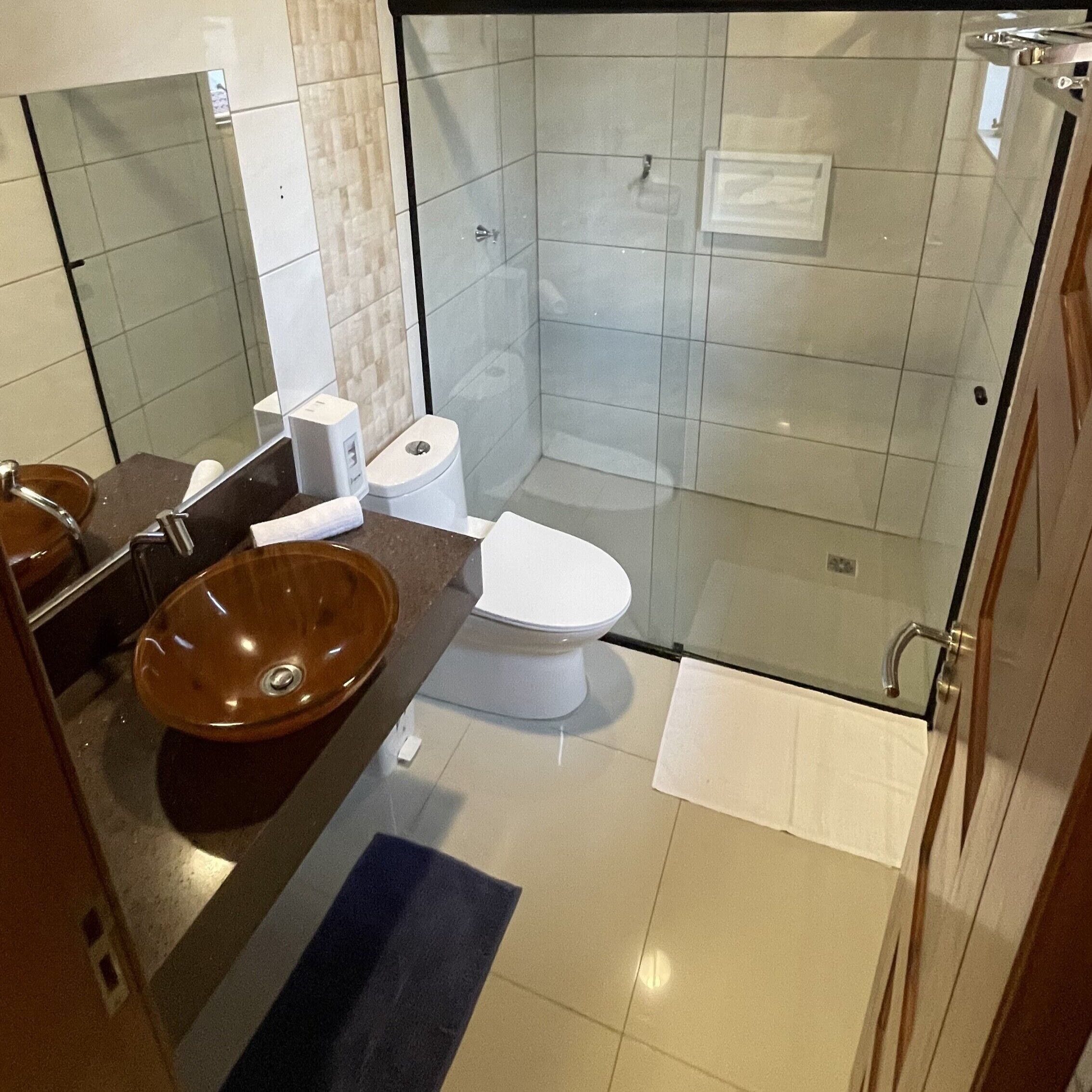 A bathroom with a glass-enclosed shower, a sink with a brown basin, a white toilet, and a mirror above the sink.